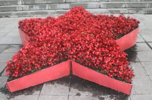 Le pouvoir des fleurs ...